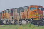 BNSF 8254 East